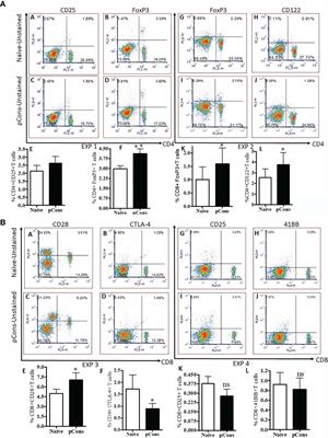 Cellular and Molecular Phenotypes of pConsensus Peptide (pCons) Induced CD8+ and CD4+ Regulatory T Cells in Lupus